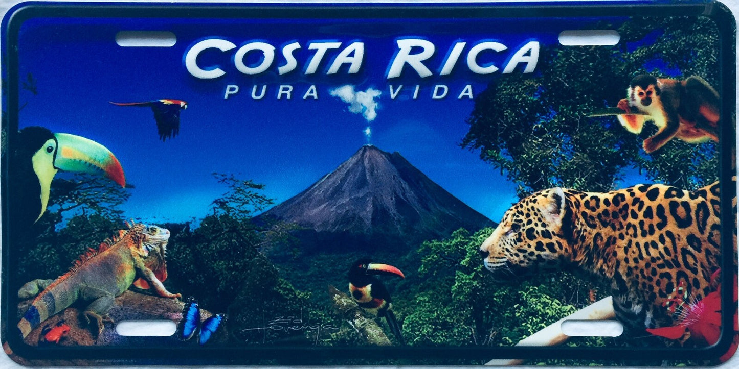 COSTA RICA PURA VIDA CENTRAL AMERICA LICENSE PLATE CRLP 11