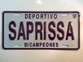 COSTA RICA PURA VIDA CENTRAL AMERICA LICENSE PLATE CRLP 23
